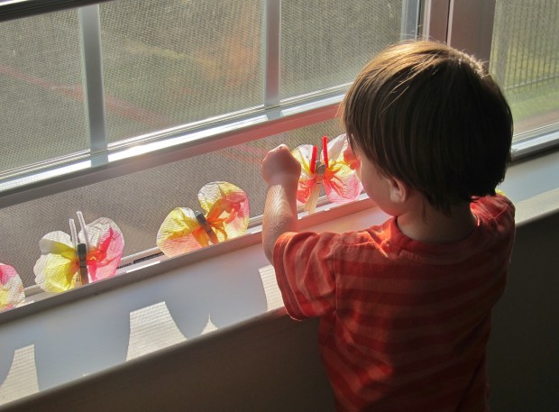 Coffee-Filter Butterflies (10)
