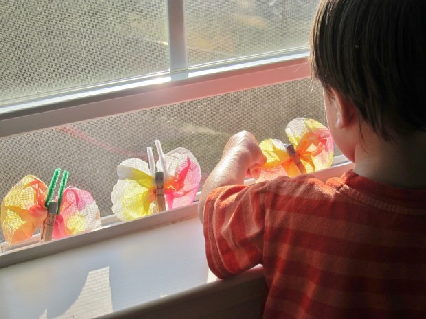 Coffee-Filter Butterflies (9)
