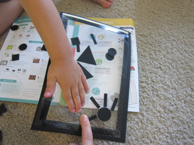 koala rainbow stained (2)