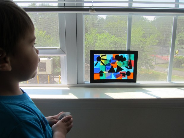 koala rainbow stained (7)