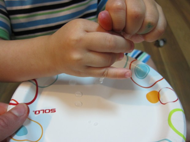 Koala rainbow tote (3)