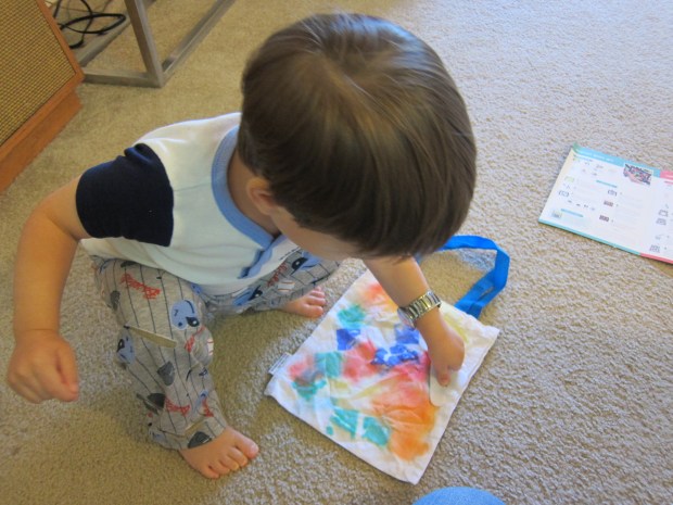 Koala rainbow tote z