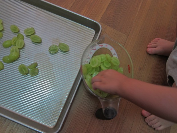 Grapes to Raisins (2)