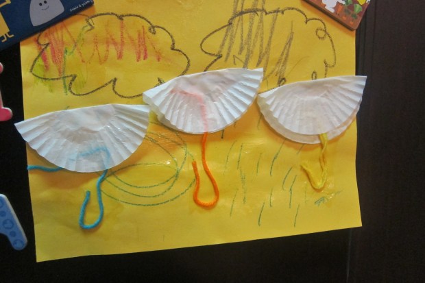 Rainy-Day Picture (3)