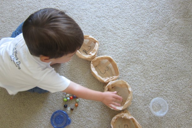 bird-nest-counting-1