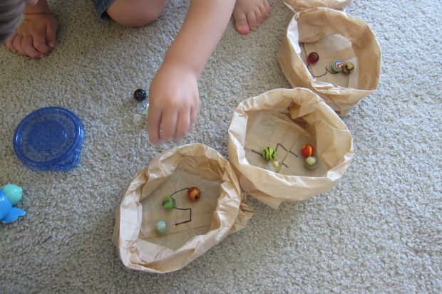 bird-nest-counting-3