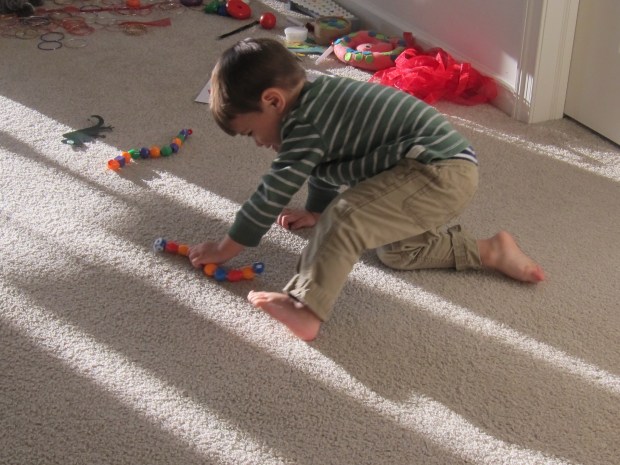 Koala reptile (15).JPG