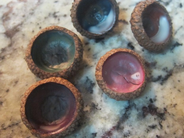 Acorn Jewels (5).JPG