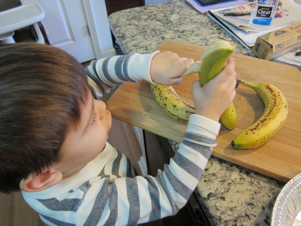 Banana Ice Cream (2)