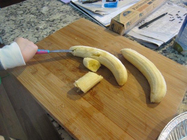 Banana Ice Cream (3)