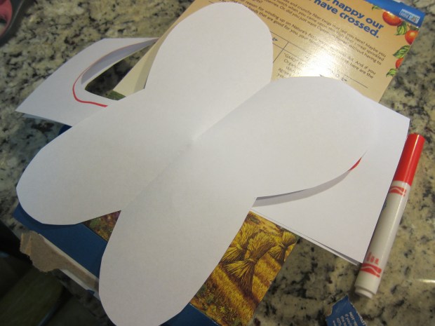 Butterfly Balance (1)