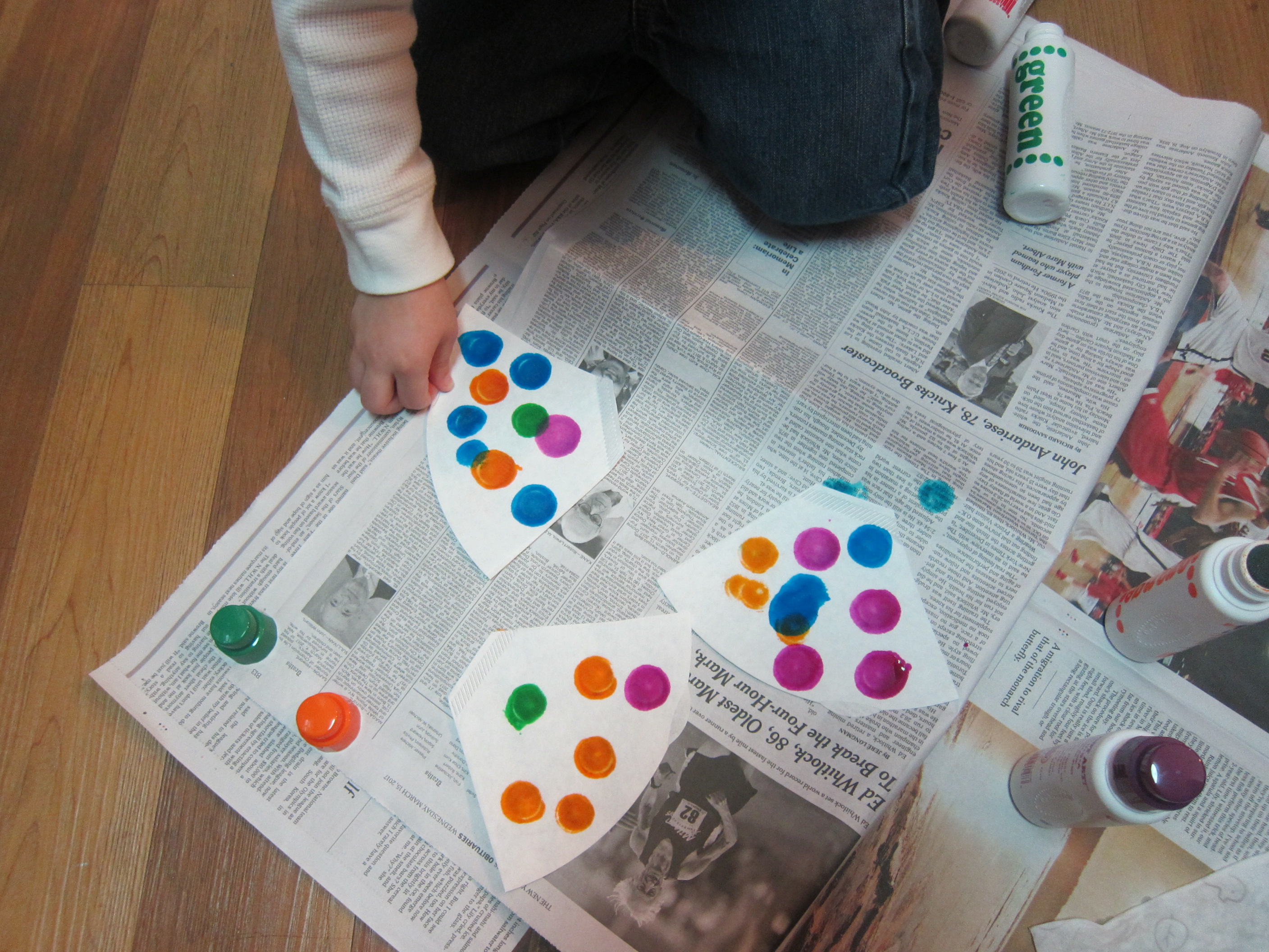 Zipline Butterfly (1)