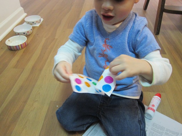 Zipline Butterfly (2)