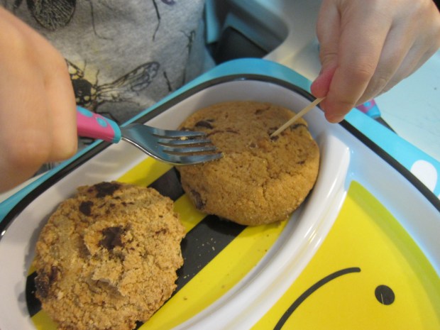 Chocolate Chip Dig (1)