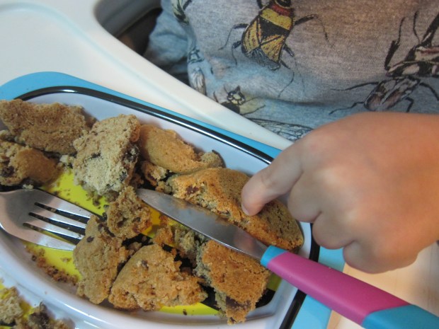 Chocolate Chip Dig (4)