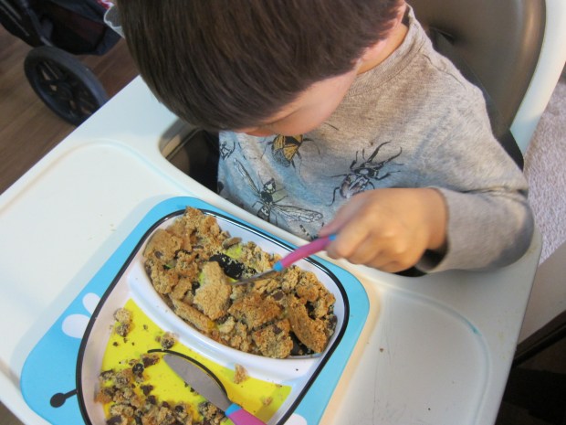 Chocolate Chip Dig (6)