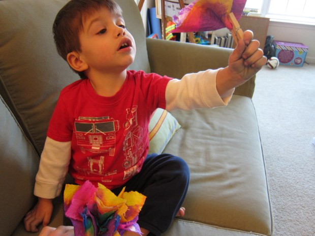 Paper Towel Flowers (8)