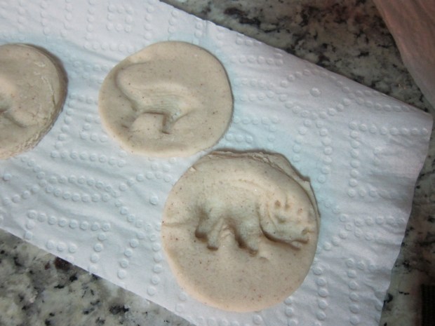 Salt Dough Fossil (6)