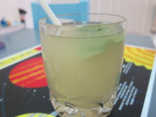Mint Lemonade (4)