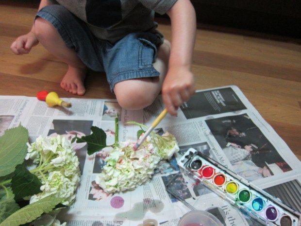 Painted Hydrangea (3)