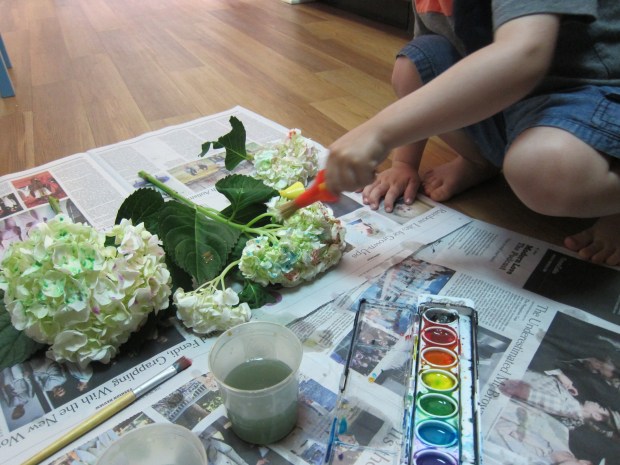 Painted Hydrangea (5)