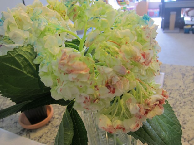 Painted Hydrangea (6)