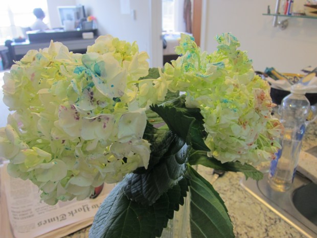 Painted Hydrangea (8)