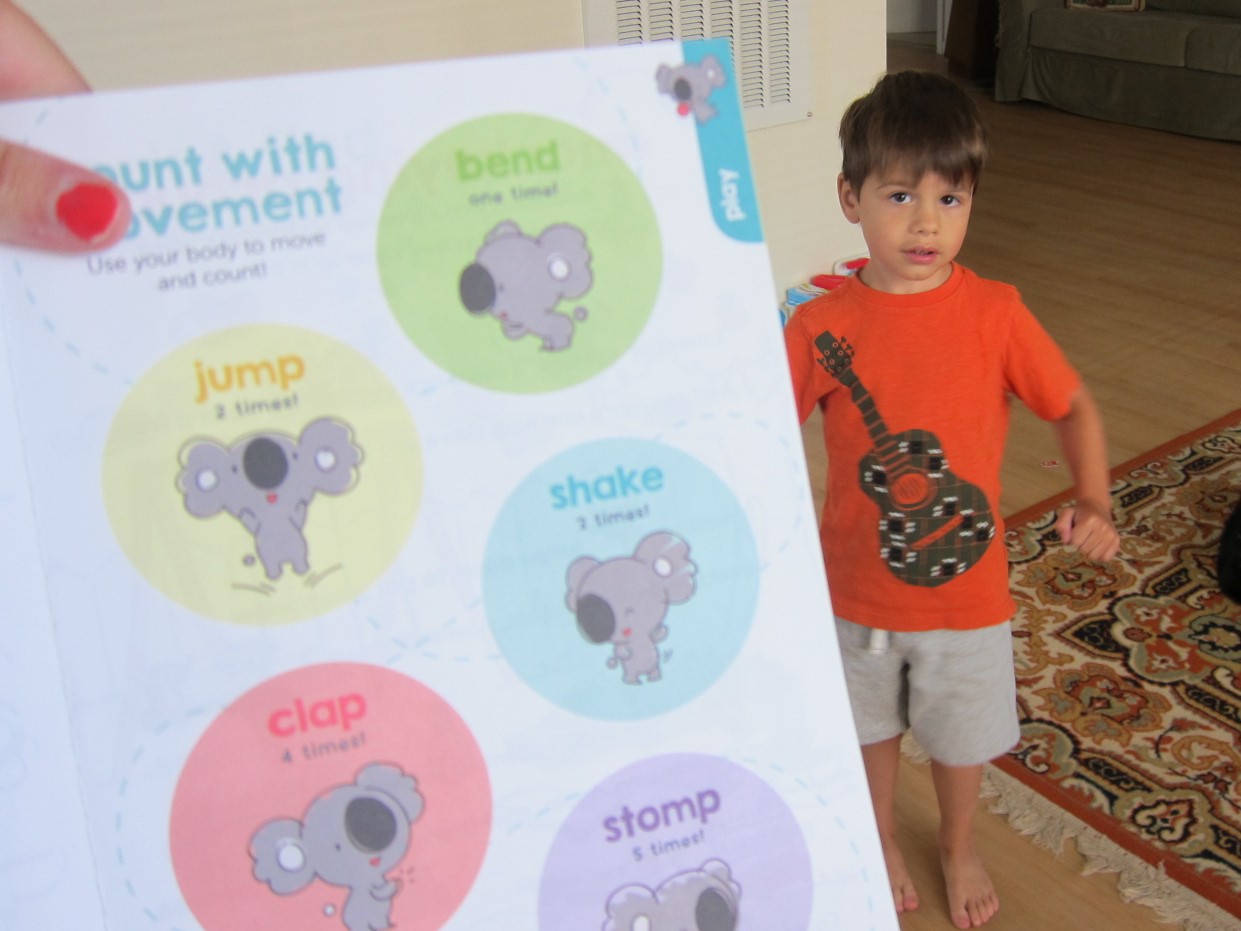 Koala numbers var.JPG