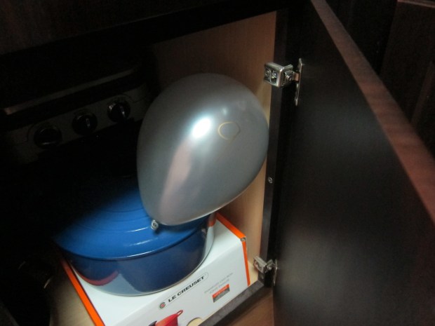 Numbered Balloon (5)