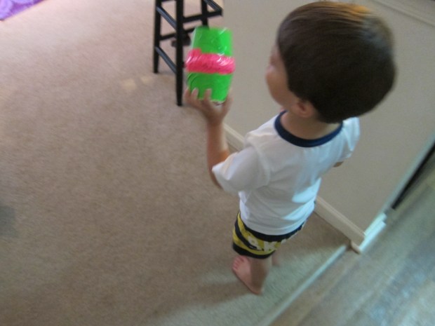 Watermelon Maraca (6)