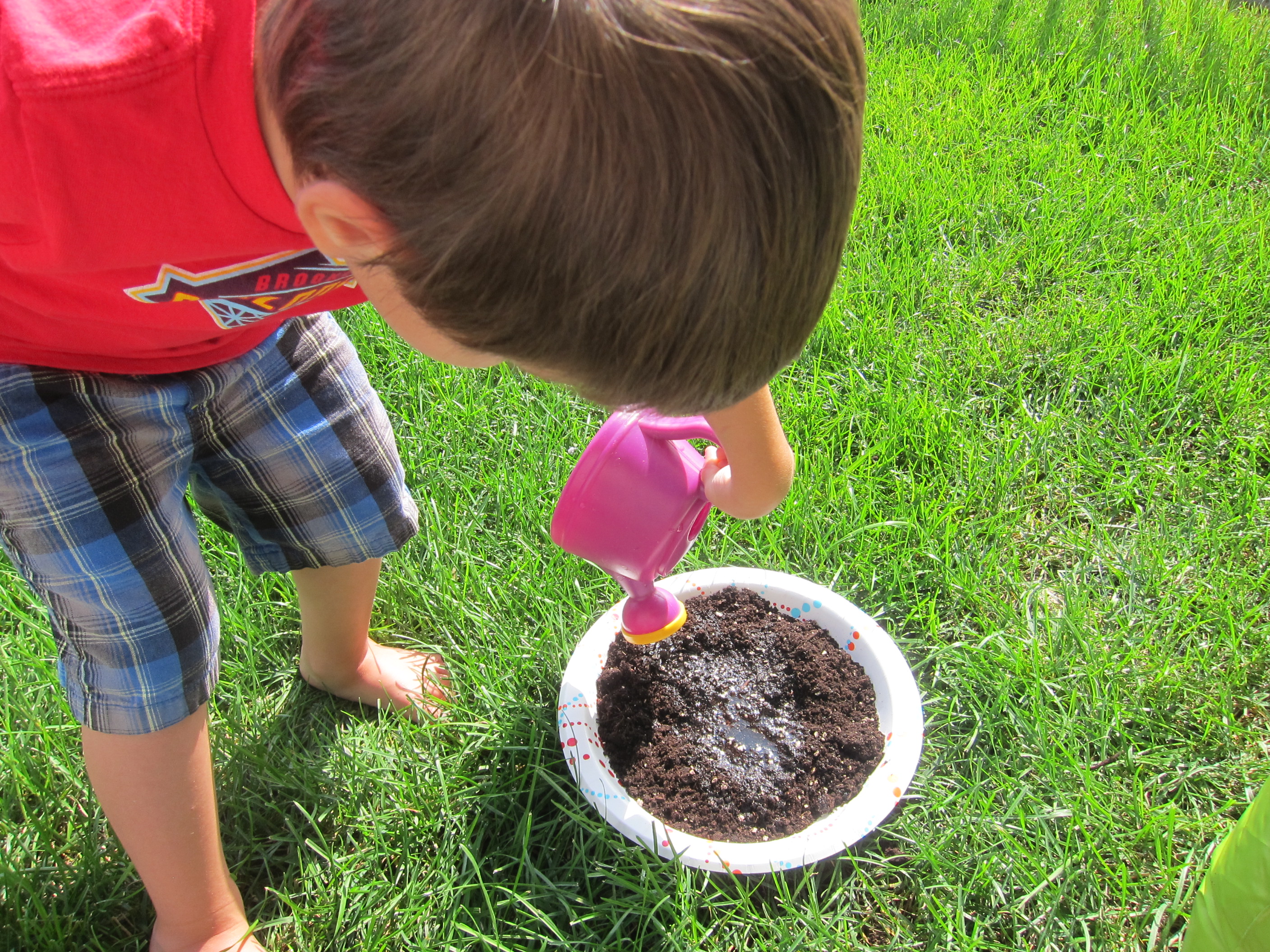 Mud Pies (2)