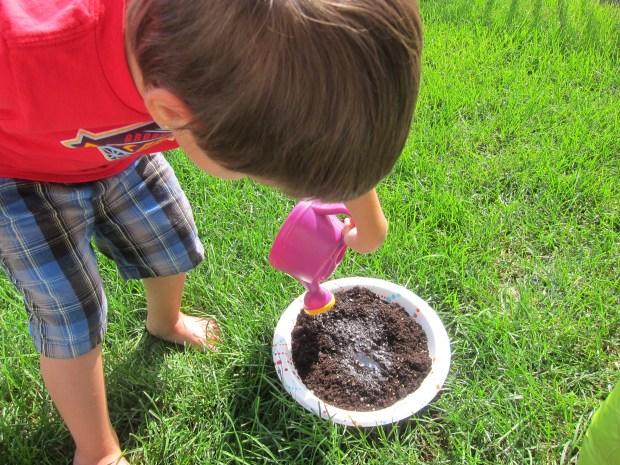 Mud Pies (2)