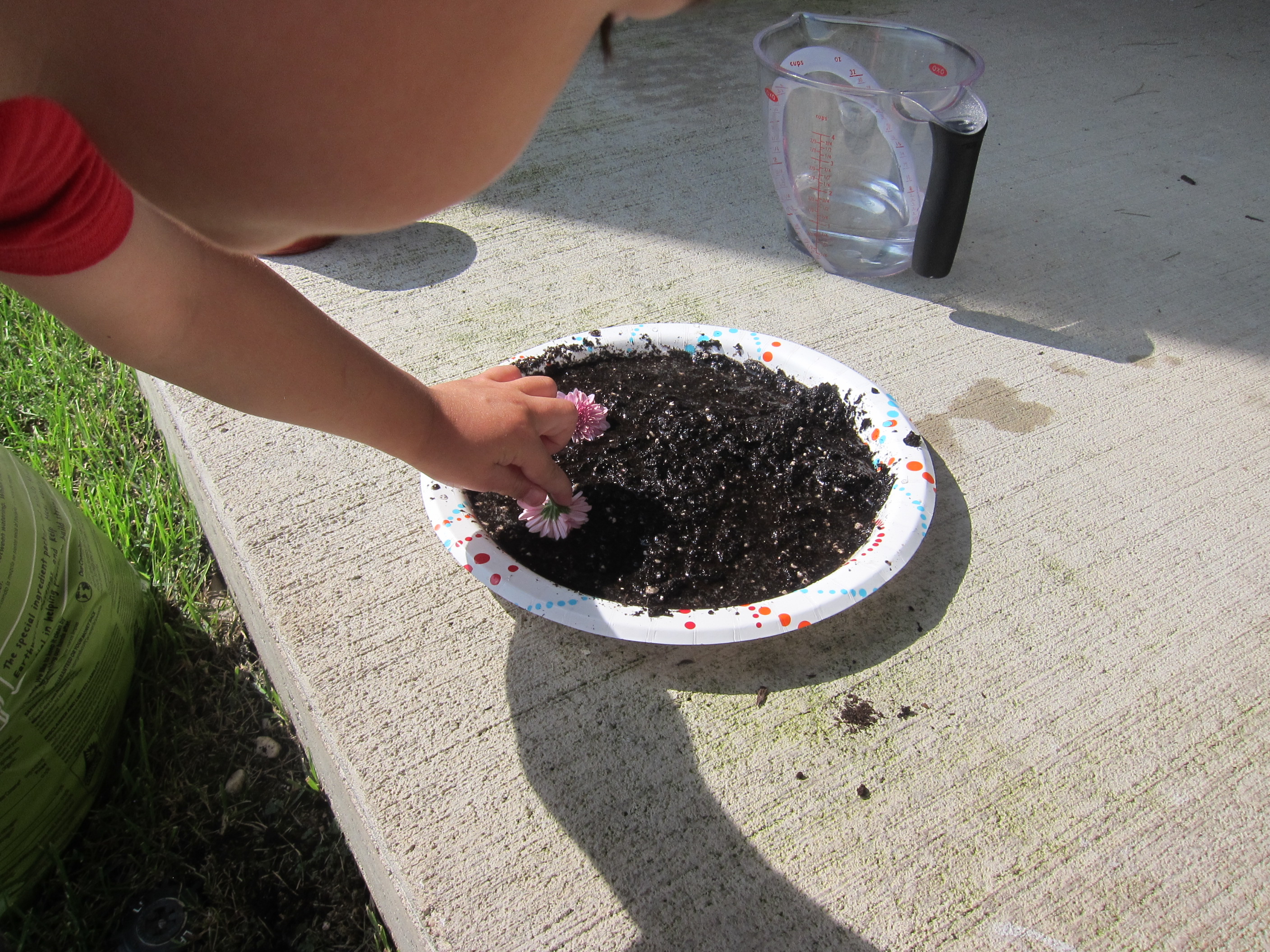 Mud Pies (4)