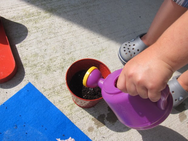 Plantable Paper (12)