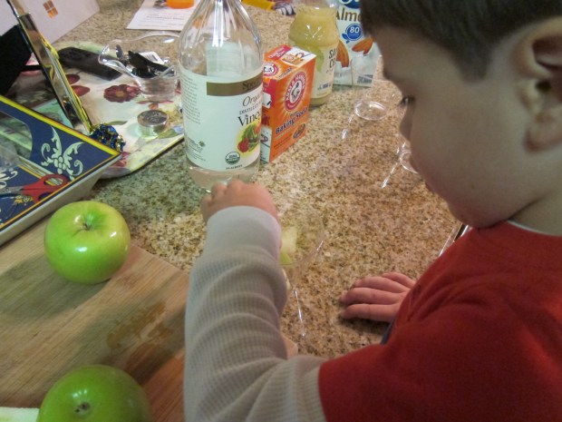 Apple Experiment (1)