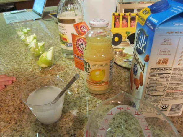 Apple Experiment (3)