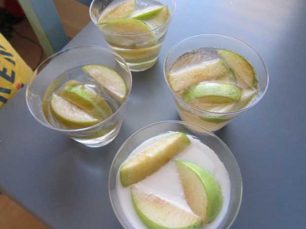 Apple Experiment (6)