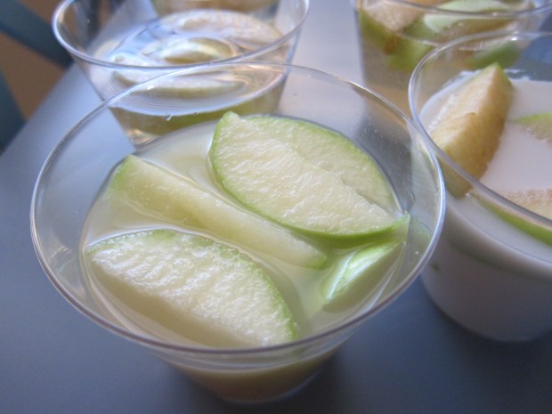 Apple Experiment (7)