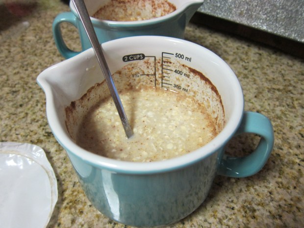 Apple Pie Oatmeal (1).JPG