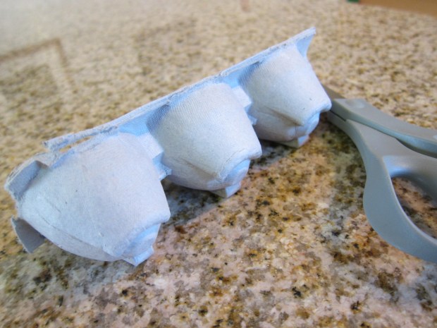 Hopping Grasshopper (1)