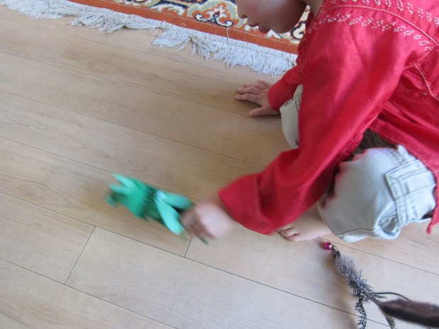 Hopping Grasshopper (8)