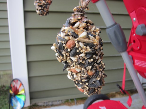 Pinecone Feeder (6)