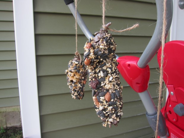 Pinecone Feeder (7)