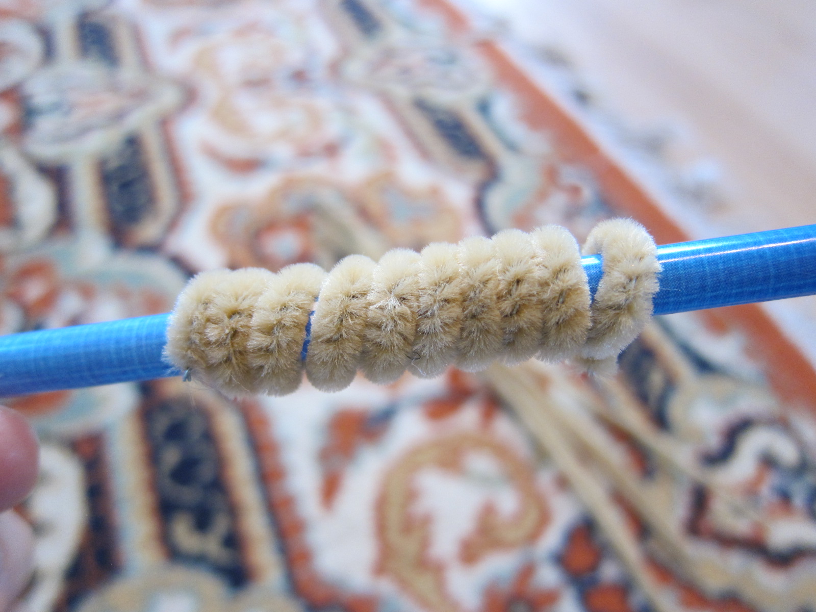 Pipe Caterpillar (1)