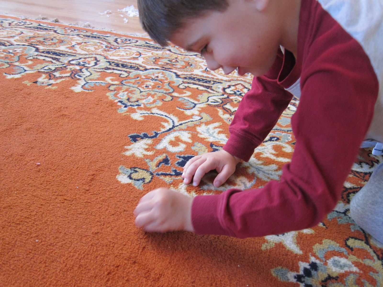 Pipe Caterpillar (3)