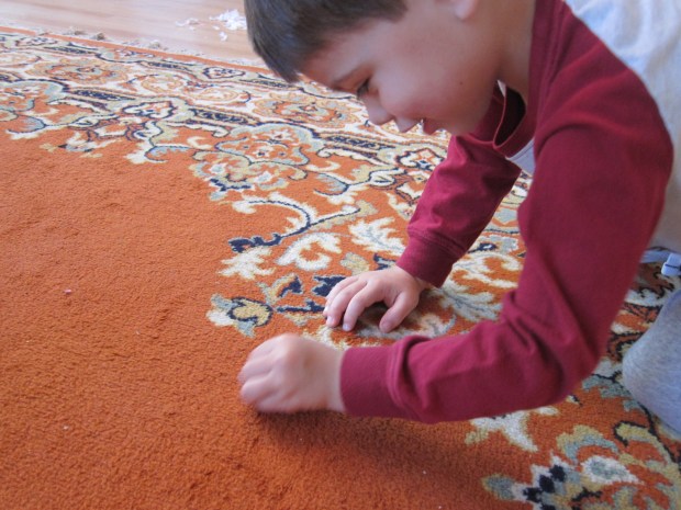 Pipe Caterpillar (3)