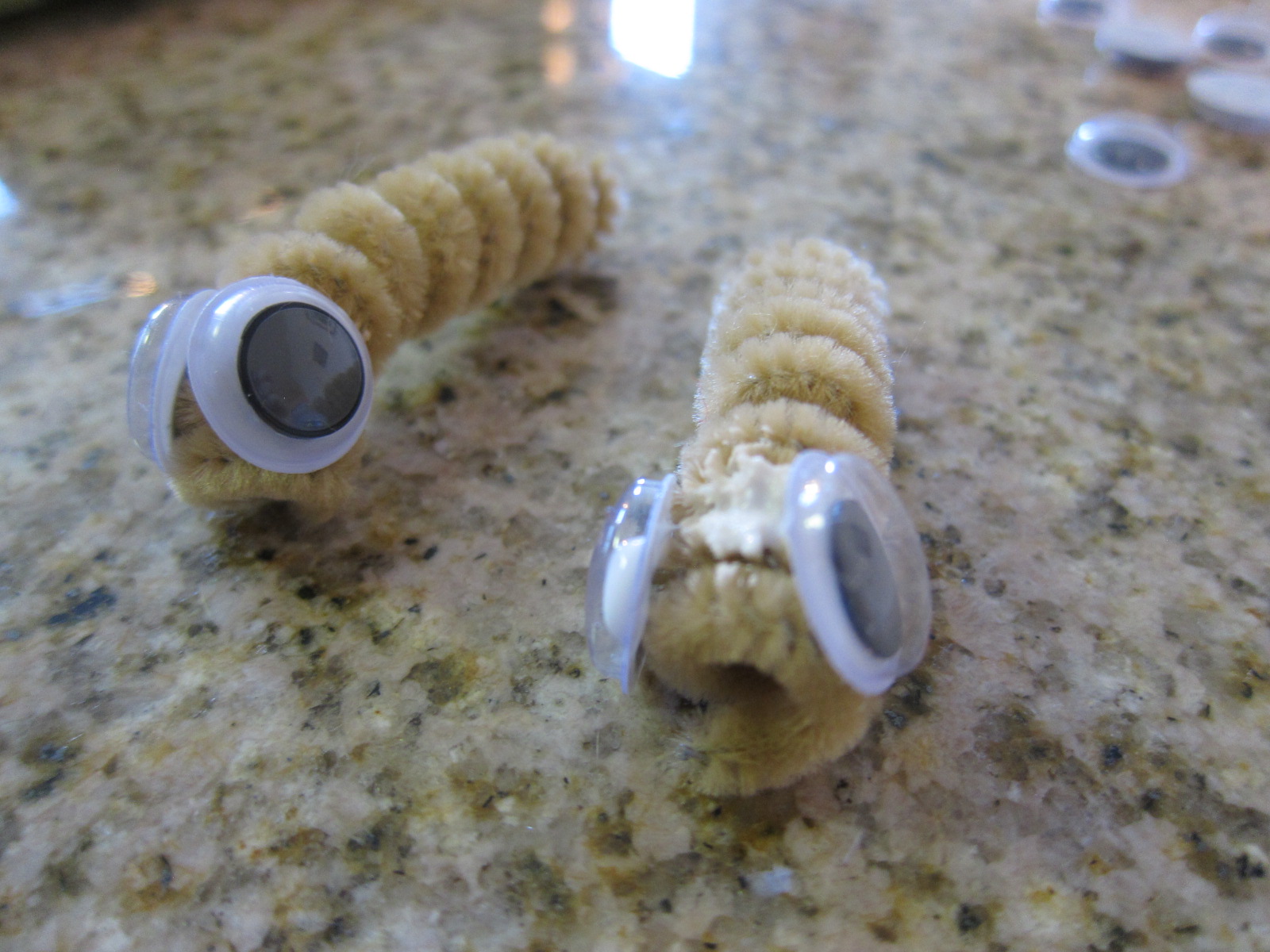 Pipe Caterpillar (5).JPG