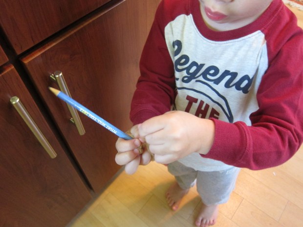 Pipe Caterpillar (7)