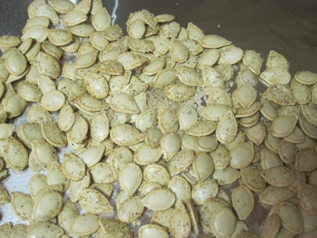 Roasted Pumpkin Seeds (4)
