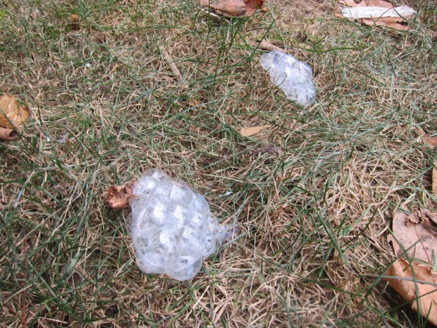 Frozen Bubbles (3)